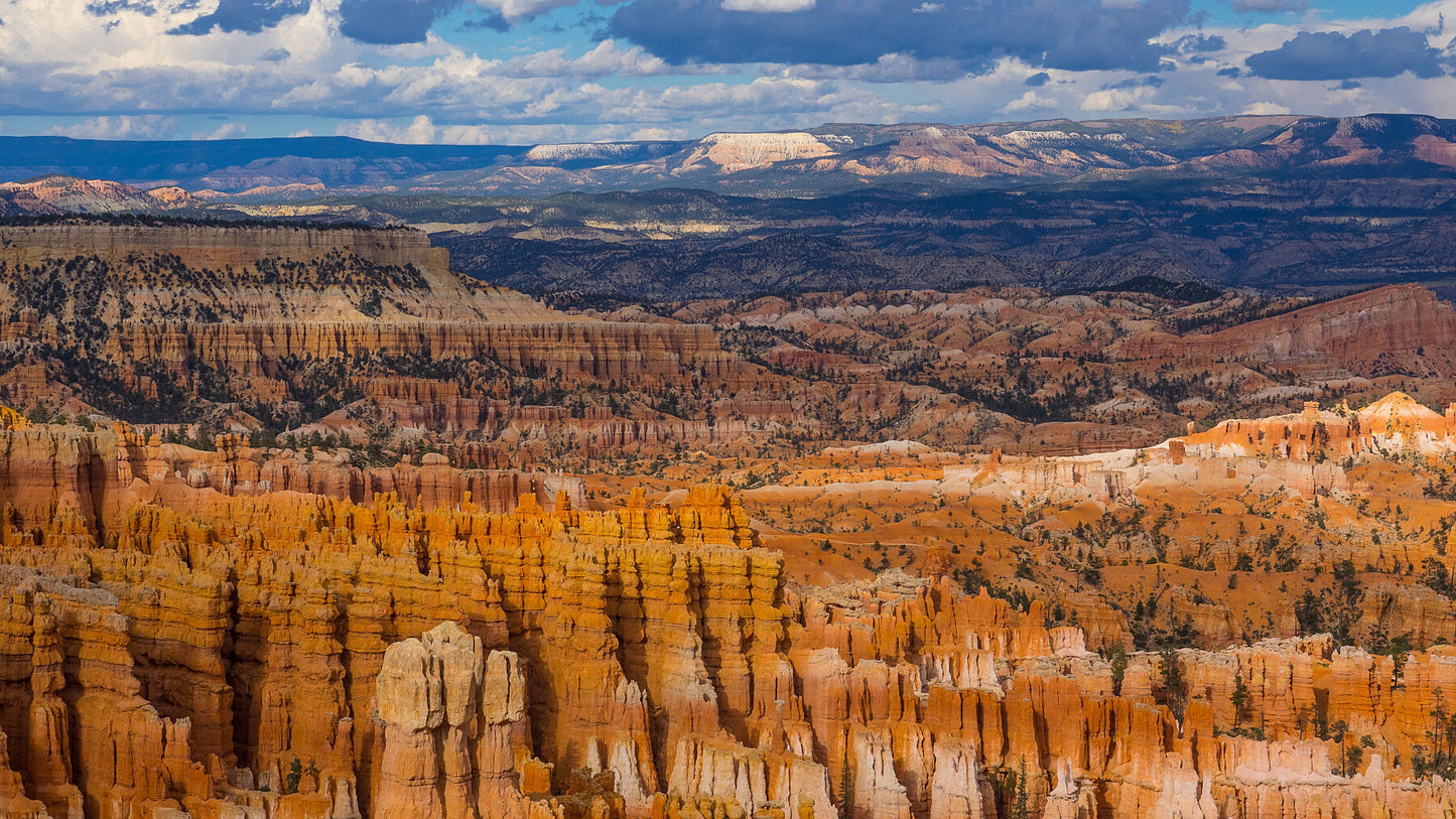 Bryce